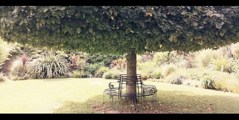 A circular metal bench beneath a flat-topped umbrella tree in the sunlit, Mediterranean-style gardens of Mottistone Manor