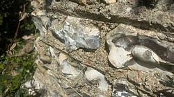 A close-up, angled view of a traditional Sussex knapped flint and mortar wall, showing the rough texture of the cement and the smooth, dark, glassy interiors of the split grey and white flints catching the sunlight.