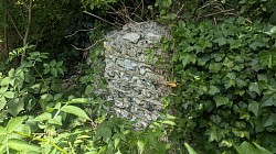 ​A close-up of a rustic, historic wall built with traditional Sussex flint and concrete mortar, heavily flanked and overgrown by lush green ivy leaves and wild brambles in the summer sun.