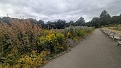 Long border at Temple Newsam