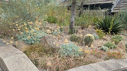 York Gate Garden 2