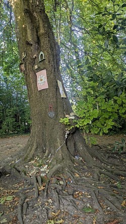 The Magic Wishing Tree is on The North Lancing Bridleway