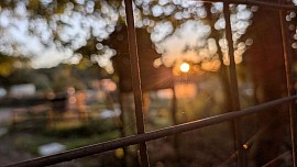 Pale autumn sunshine through the meshgate at Lancing Manor allotments in West Sussex