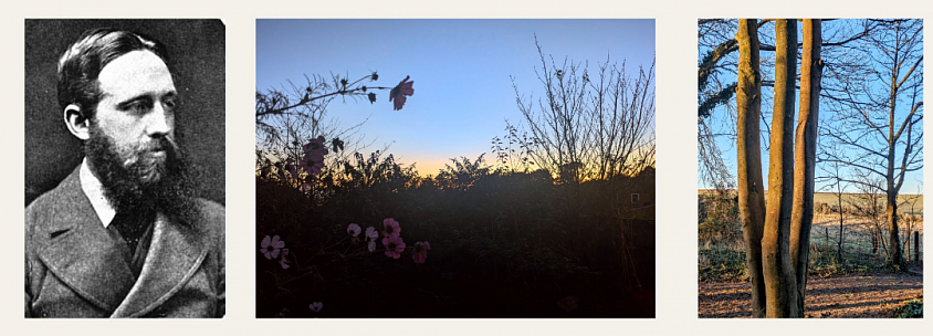Richard Jefferies thoughts on the last leaves measure the years